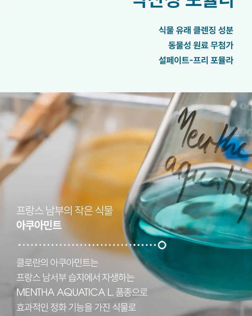 [지성두피 & 쿨링] 클로란 아쿠아민트 딥클렌징 쿨링 샴푸 400ml 상세페이지 13